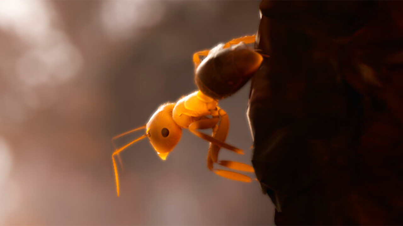 Empire of the Ants es el nuevo juego estratégico sobre hormigas